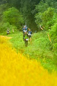 BIB: 
                            <button type="button" onclick="openModal(13456080)" class="btn btn-primary btn-sm float-right btn-popup" data-toggle="modal" data-target=".modal-high-quality">
                        <i class="fas fa-shopping-cart"></i> Add to Cart
                    </button>
                                            <button type="button" onclick="isThisMe(13456080, true)" class="btn btn-success btn-sm float-right btn-popup btn-isme hidden" data-toggle="tooltip" data-placement="bottom" title="นี่คือรูปของคุณใช่ไหม คลิกที่นี่เพื่อเอาเข้าอัลบั้ม">
                        <i class="fas fa-plus"></i> Add to album
                    </button>
                    <button type="button" onclick="isThisMe(13456080, false)" class="btn btn-warning btn-sm float-right btn-popup btn-isnotme hidden">
                        <i class="fas fa-ban"></i> Remove from album
                    </button>